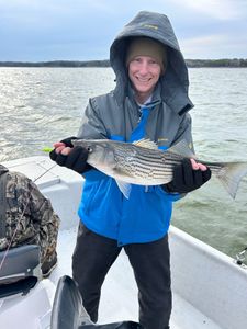 Striped bass caught in Madill