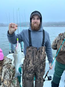 A striped bass fish caught in Madill