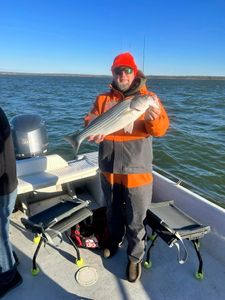 Striped bass caught while fishing in Madill