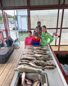 Striped bass caught by 5 people in Madill