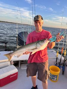 Striped bass caught while fishing in OK
