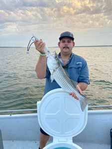 Striped bass caught by angler in OK