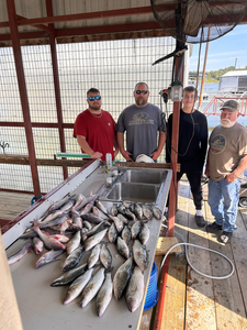 Great day of deep sea jigging and trolling! Look at this exciting catch of stripers.