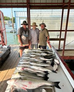 Three hardhead sea catfish caught while fishing in OK