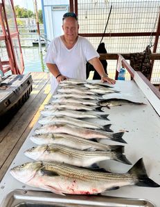 Three striped bass caught fishing in OK