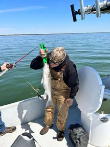 Learned some Expert fishing tips today