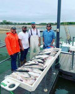 Hooked on fishing in lake texoma