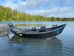 Scenic view of Alaska landscape