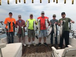 Eleven chinook salmon, coho salmon, and great barracuda fish caught during fishing trip in Burt