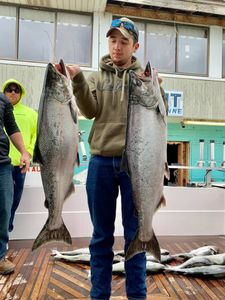 Two Chinook Salmon, 58 inches long, caught while fishing in Burt