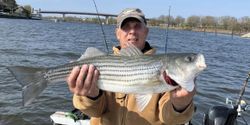 Impressive Striped Bass catch!