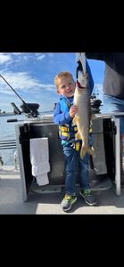 Lake Trout caught while fishing in NY