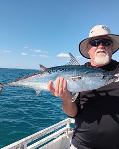 Summertime nearshore trips aboard Catch 22. These special trips are only available when seas are calm (2 ft or less), only good up to 3 anglers and only available on 3/4 and full day trips. Kingfish, mahi, sailfish, barracuda,  Bonita and blackfin tuna targeted. 