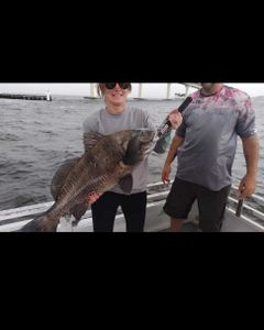 Angler holding a big black drum fish caught in Jensen Beach