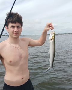 One angler fishing in Jensen Beach