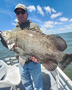 Ballan wrasse fish caught on a fishing tour in FL