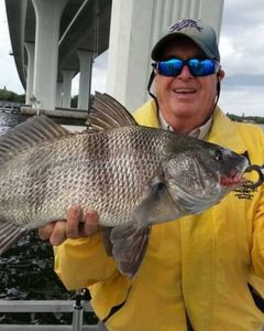 Black Drum fish caught in FL