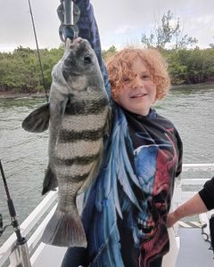 A man catches a black drum fish measuring 26 inches at Jensen Beach