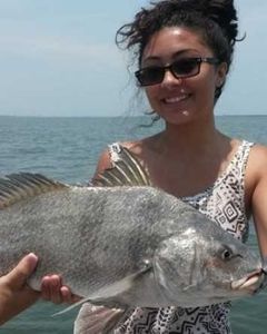A single 14-inch black drum fish caught while fishing in Jensen Beach