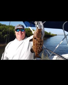 Black Grouper, a 15-inch fish caught while fishing in Jensen Beach