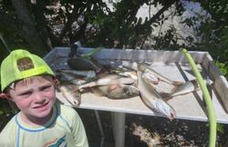 Fisherman reels in three fish while on a fishing tour in Florida