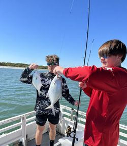 Two Florida Pompano fish caught while fishing in FL