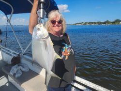 Florida Pompano fish being fished in FL