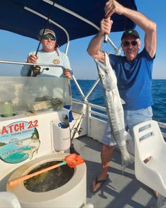 Great Barracuda fish caught in Jensen Beach