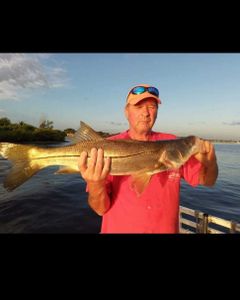 A huge snook fish caught during a fishing tour in Jensen Beach