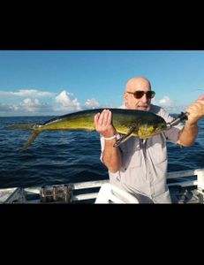 Mahi Mahi fish caught during fishing tour in FL