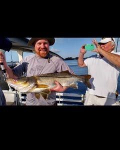 One 25-inch snook fish caught during fishing tour in Jensen Beach