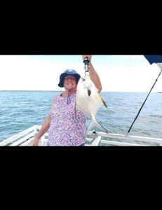 Permit fish being caught in FL