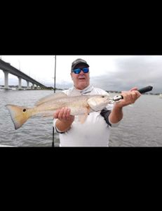 Redfish caught in FL