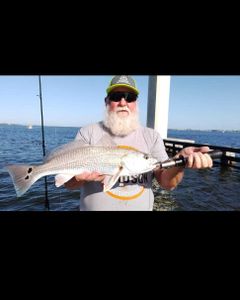 Redfish catch in Florida