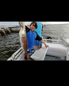 A photo of a redfish, a type of fish, caught in Florida while fishing.