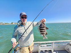 Photo of a sheepshead fish caught in FL