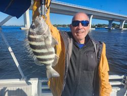 Fisherman with sheepshead fish in Florida