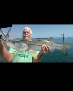 Snook fish caught while fishing in FL