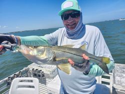 Snook fishing in FL