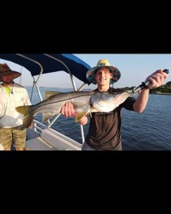Snook fishing in Jensen Beach