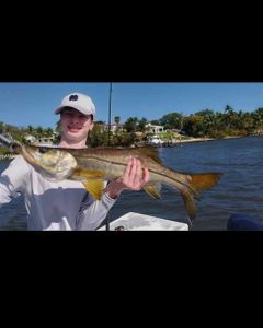 Snook fish caught in Jensen Beach