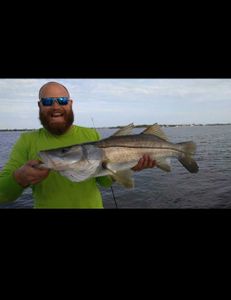 Snook fish caught in FL on fishing tour
