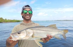 Snook caught during a fishing tour in Jensen Beach