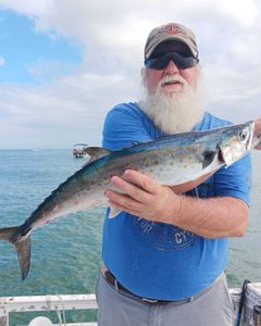 Caught a 25-inch Spanish Mackerel while fishing in FL