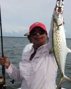 Catch of the day: A Spanish mackerel caught in FL