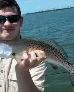 Spotted weakfish caught in Jensen Beach, Florida