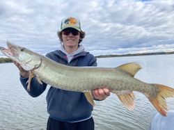 Muskellunge fish caught in MN
