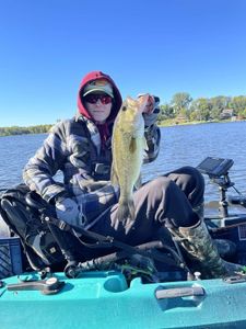 A lone largemouth bass caught in Minnesota
