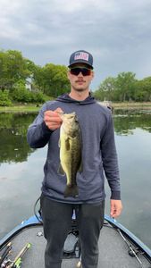 Largemouth bass caught in MN