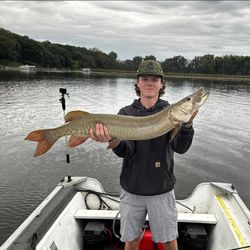 Muskellunge, a 35-inch fish, caught in MN using fishing technique.
